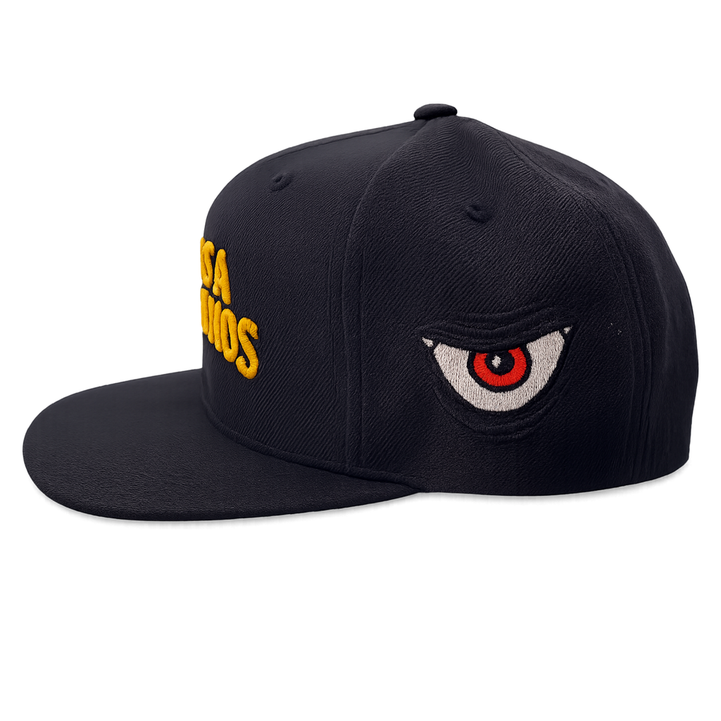VAMOS A DIVERTIRNOS SNAPBACK HAT