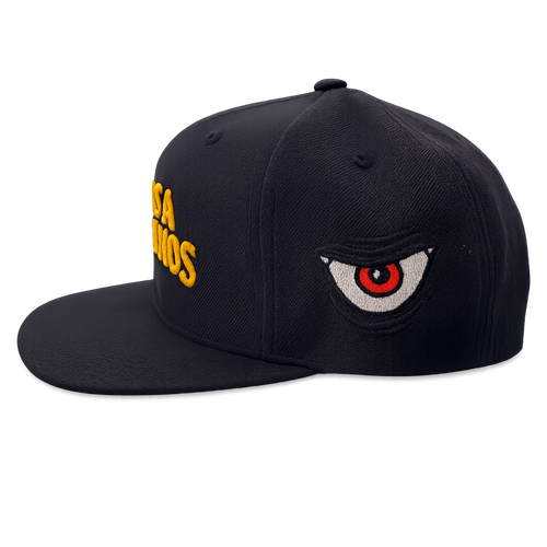 VAMOS A DIVERTIRNOS SNAPBACK HAT